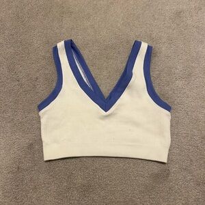 Aerie Blue and White V-Neck Crop Top